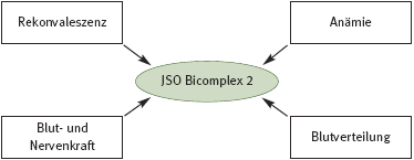 DHU Bicomplex 2 – Blutmittel