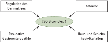 DHU Bicomplex 3 – Darmmittel