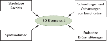 DHU Bicomplex 4 – Drüsenmittel