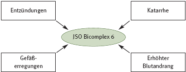 DHU Bicomplex 6 – Fiebermittel