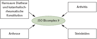 DHU Bicomplex 9 – Gicht- und Rheumatismusmittel