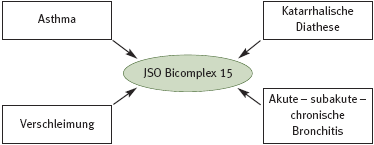 DHU Bicomplex 15 – Hustenmittel