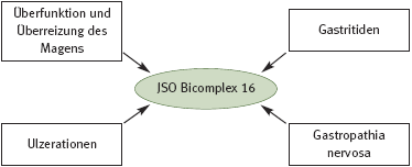 DHU Bicomplex 16 – Magenmittel 1 (Hyperazidität)