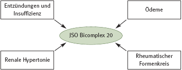 DHU Bicomplex 20 – Nierenmittel