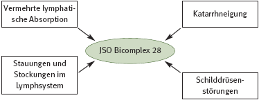 DHU Bicomplex 28 – Lymphmittel