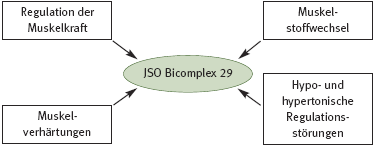 DHU Bicomplex 29 – Muskelmittel