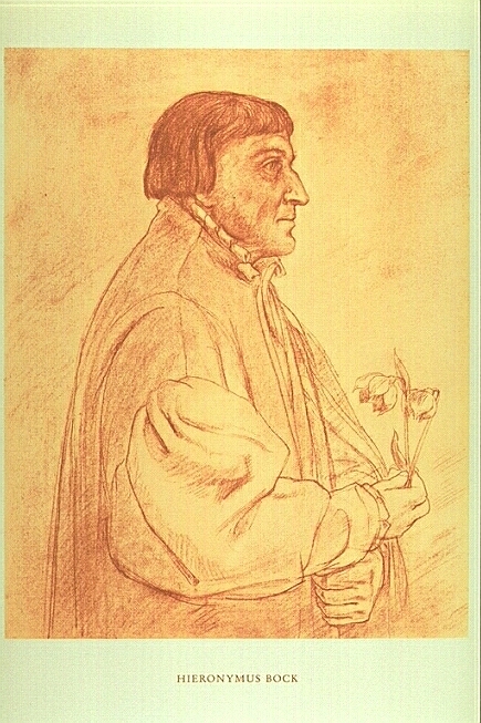 Hieronymus Bock