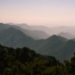 Echter Ginseng - Korea ist die Heimat